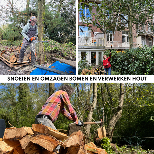 Omzagen en snoeien van bomen in Amsterdam.