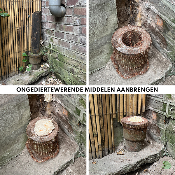 Ongediertewerende middelen aanbrengen Amsterdam